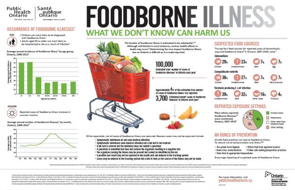 A thumbnail of the Foodborne Illness infographic