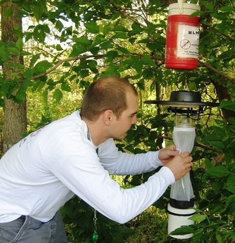 A picture of a Health Unit staff member setting up an adult mosquito trap.