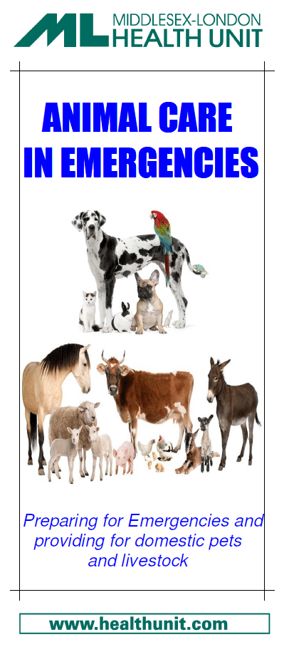 Animal Care Brochure (PDF 249KB)