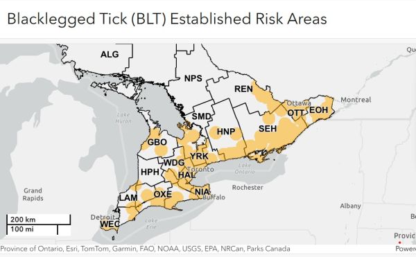 Blacklegged Ticks Established Risk Areas
