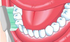 How to brush Brushing teeth