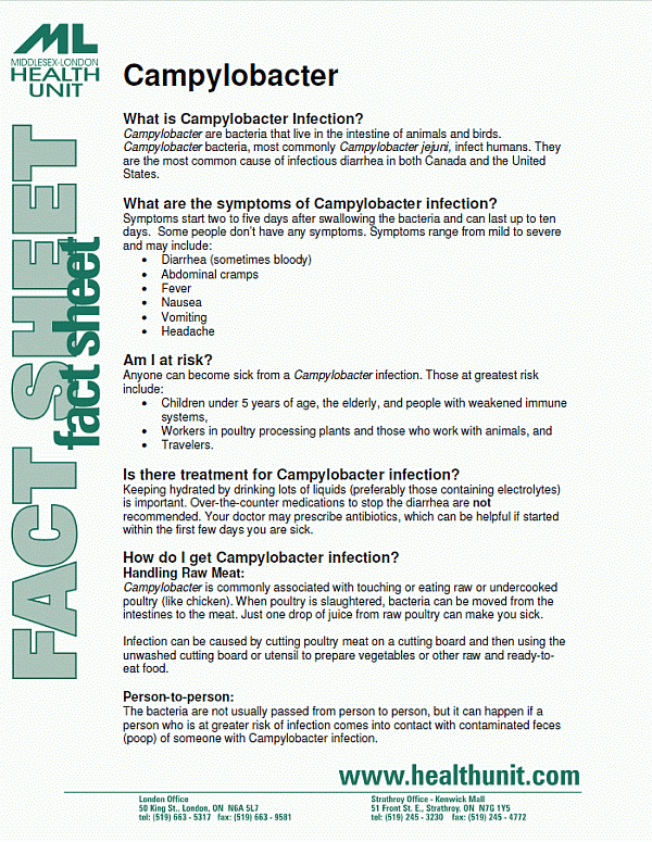 Front page of the Campylobacter Fact Sheet