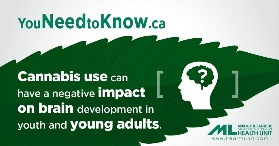 Cannabis use can have a negative impact on brain development in youth and young adults.