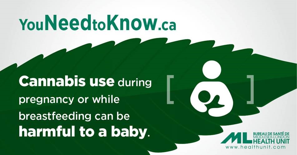 Cannabis use during pregnancy or while breastfeeding can be harmful to a baby.