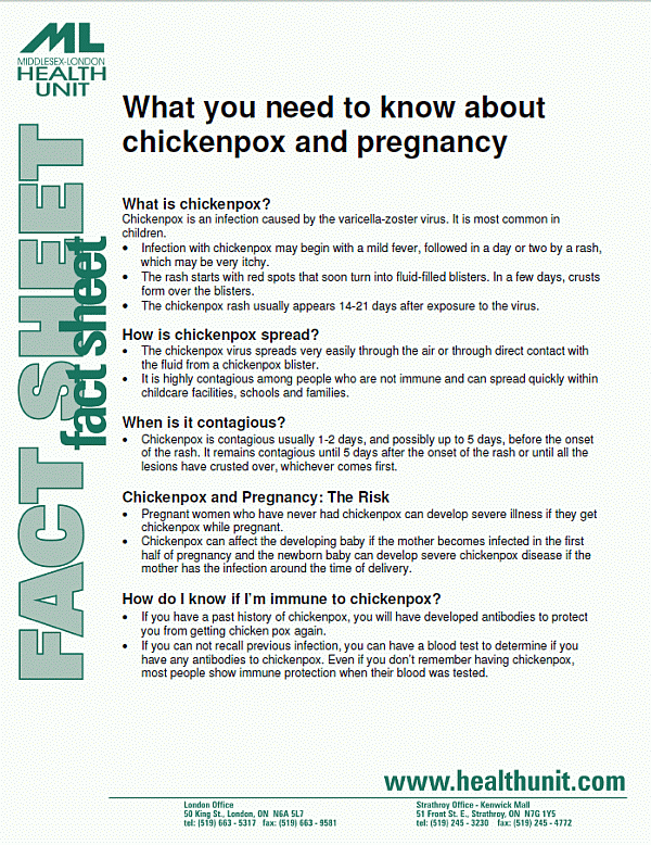 Front of Chickenpox and pregnancy fact sheet