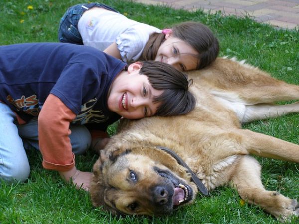 Children with dog