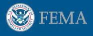 Federal Emergency Management Agency Logo Federal Emergency Management Agency Logo