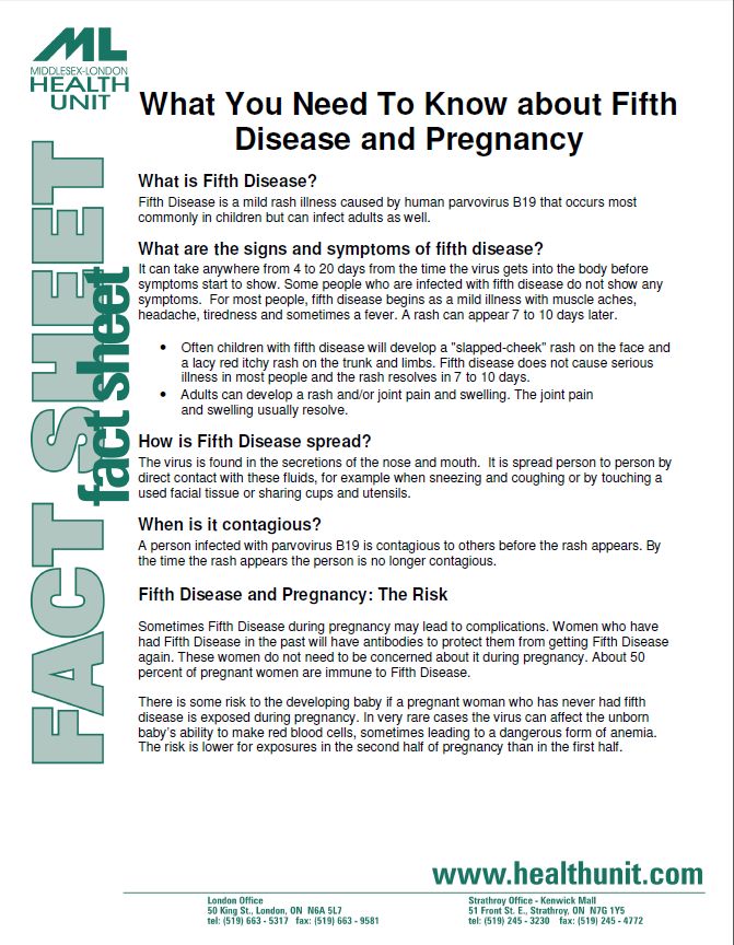 Fifth Disease and Pregnancy Fact Sheet