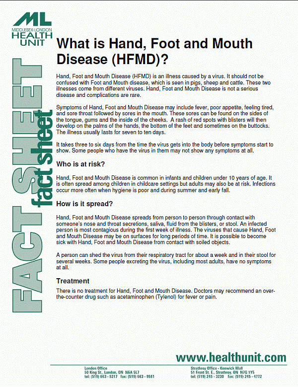 Front page of Hand, Foot and Mouth Disease Fact Sheet