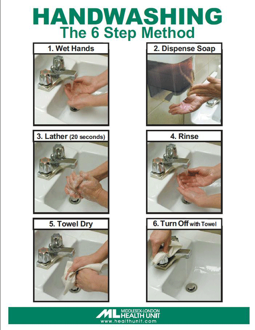 The 6 Step Method of Handwashing