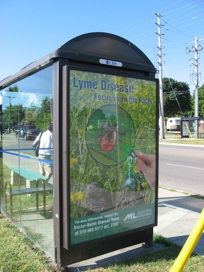 Picture of a bus shelter ad for Lyme Disease awareness