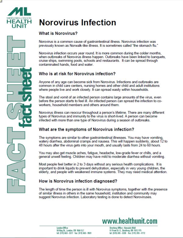  Norovirus Fact Sheet