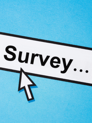 Survey icon