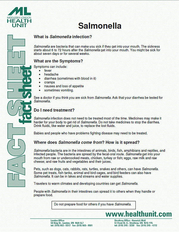 Salmonella Fact Sheet