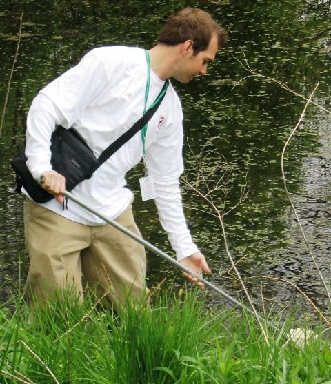 A picture of a Health Unit staff member checking water for mosquito larvae.