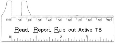 Image of a ruler