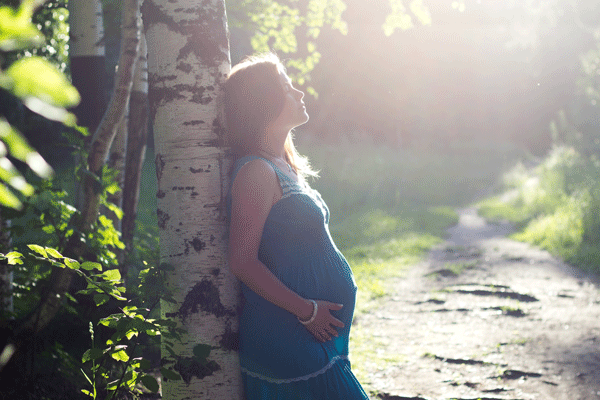 pregnant woman leaning on tree in forest in sunlight